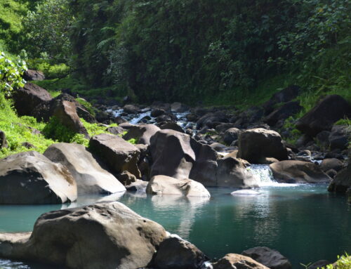 Tahiti