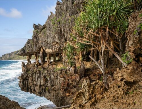 Austral islands